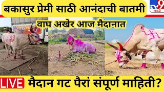 कण हईल 1 लखच मनकर? Live Bailgada Sharyat Todaybakasur Update