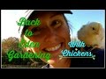 Back to Eden Gardening with Chickens~