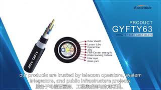 Aceccable Optical Cables | High-Speed Transmission Solutions for Global Critical Scenarios