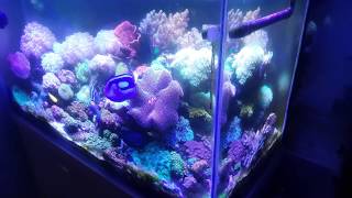 Aquarium Air Laut screenshot 5