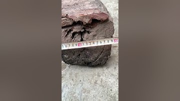 Review rễ cẩm chỉ krôngpa đặc tịt tinh lõi 34kg kt trong vd đục tiện đều víp ạ