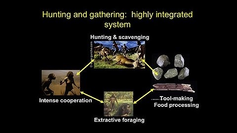 CARTA: Origins of Genus Homo – Daniel Lieberman: Adaptive Shifts Accompanying the Origin of Homo