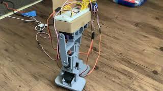 Small Biped Robot Test