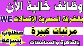 وظائف خالية جديدة في الشركة المصرية للاتصالات وي we بالقاهرة والمحافظات الشروط والتقديم مازال مفتوح