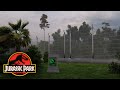 Exploring Triceratops Territory at Jurassic Park - Relaxing Ambience (Use Headphones)