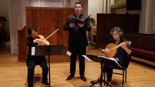 Ciconia: O rosa bella