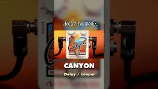 EHX Canyon Delay & Looper