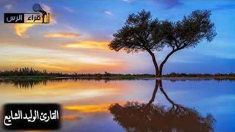 من سورة القصص | الوليد الشايع ( برواية الإمام الكسائي )