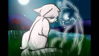 Video thumbnail of "Jayfeather and Half Moon ~ A Thousand Years"