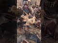 Chaba and brothers eating as usual #hadzabetribe  #food