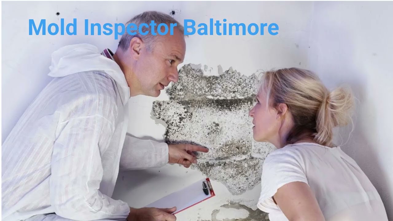 Charm City Mold Inspector in Baltimore, MD