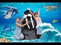 Adventures in Sea World on the Gold Coast Australia, Dolphins, Seals, Sharks, Rides and More!!!!