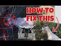 Goats Head Stuck In Fence How To Fix It | Kiko Goats | Bois D’ Arc Kikos