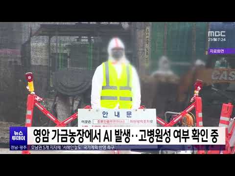 영암 가금농장에서 AI 발생..<strong>고병원성</strong> 여부 확인 중[목포MBC 뉴스투데이]