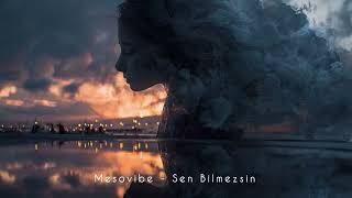 Sen Bilmezsin Resimi