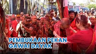 Upacara Adat Pembukaan Pekan Gawai Dayak ke-37