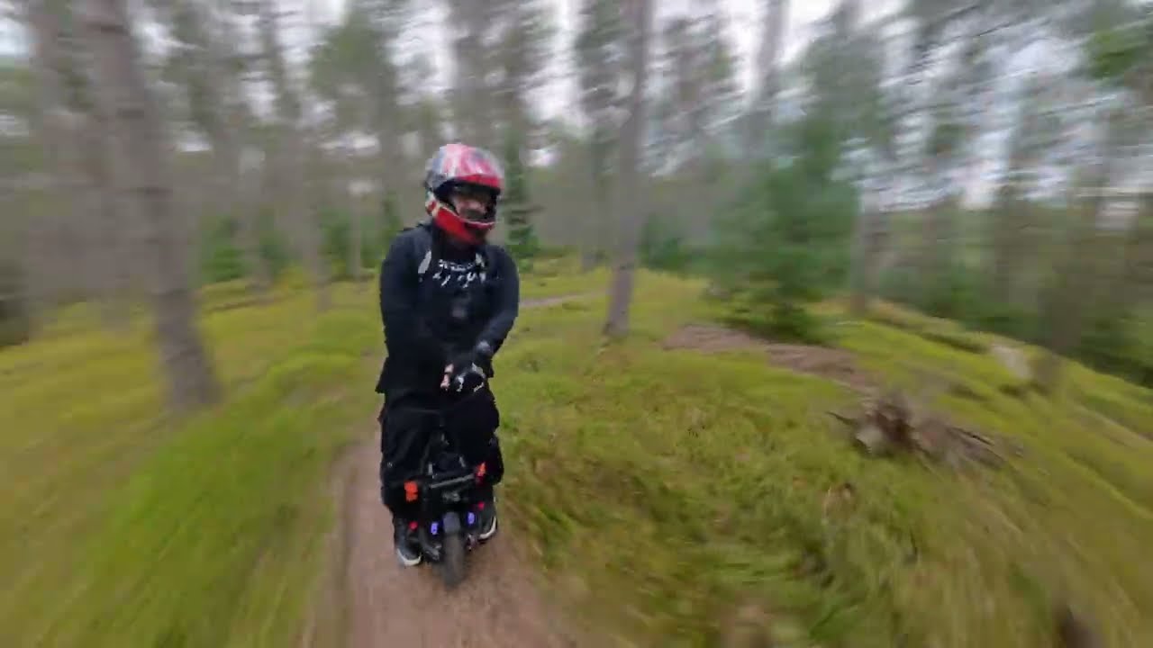 Days River Rippin 216 ( Leaperkim Veteran Sherman L + Begode EX30 )