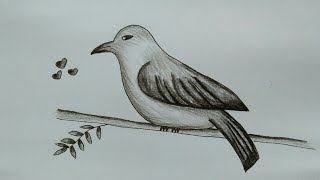 50 Sketsa Gambar Burung Dan Pemandangan Gratis Terbaik