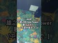 雄之助/Mum【うたスキ動画】#雄之助 #ボカロp #flower #歌ってみた #joysound #カラオケ