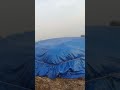 15-20 मार्च तक बारिश की संभावना