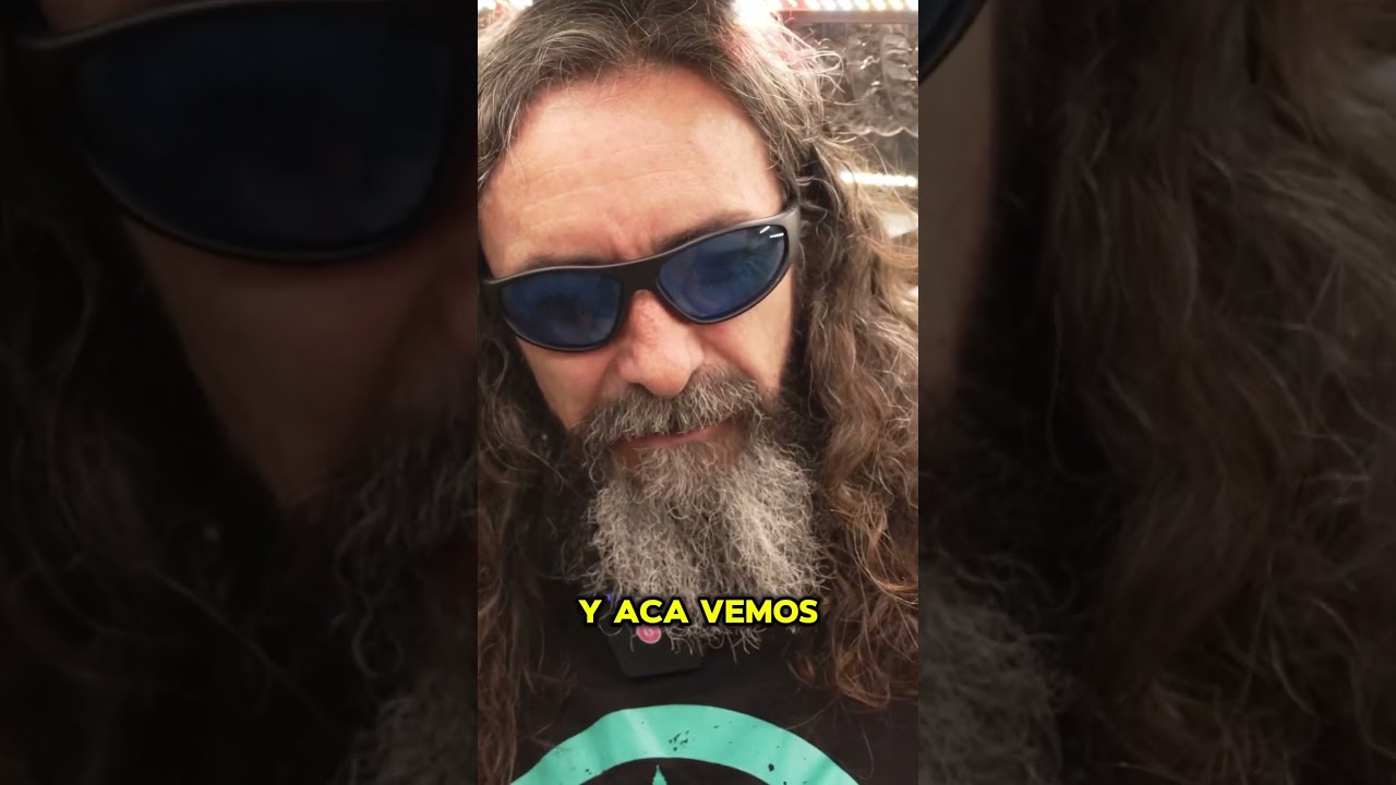 Mokum’s Tulip: Flores grandes y cargadas de resina 🤯