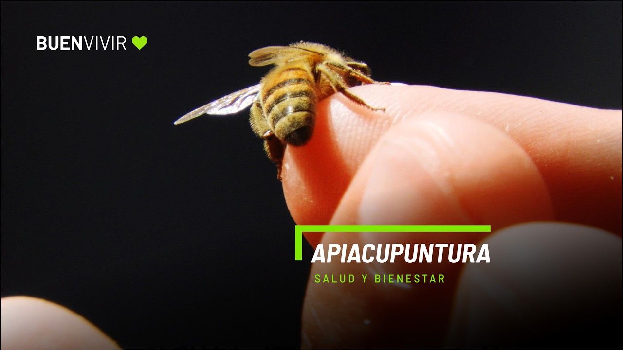 APIACUPUNTURA - Apiarios Mardalu - Karina Kulik - BUENVIVIR💚 30/03/26 Canal 4