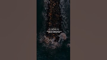 #سورة_المؤمنون|#surat ||أحمد مصطفى