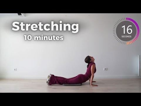 جلسه تمدد Stretching 
