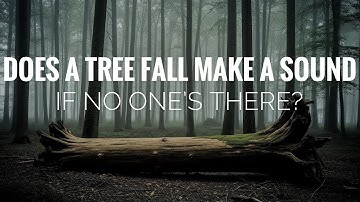 If a Tree Falls and No One Hears It… Does It Make a Sound?