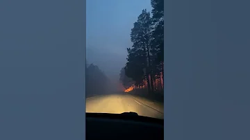 Россия в огне! Горят леса