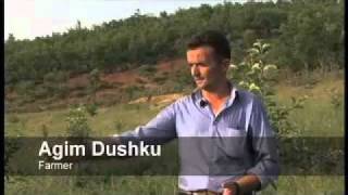 Rescuing Albanian Forests screenshot 5