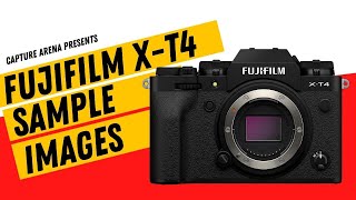 Fujifilm X-T4 (4K) Sample Images w/ Camera Settings (2023) screenshot 5