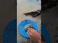 Bamboo fragments store valuable minerals| how to pan for gold😱😱