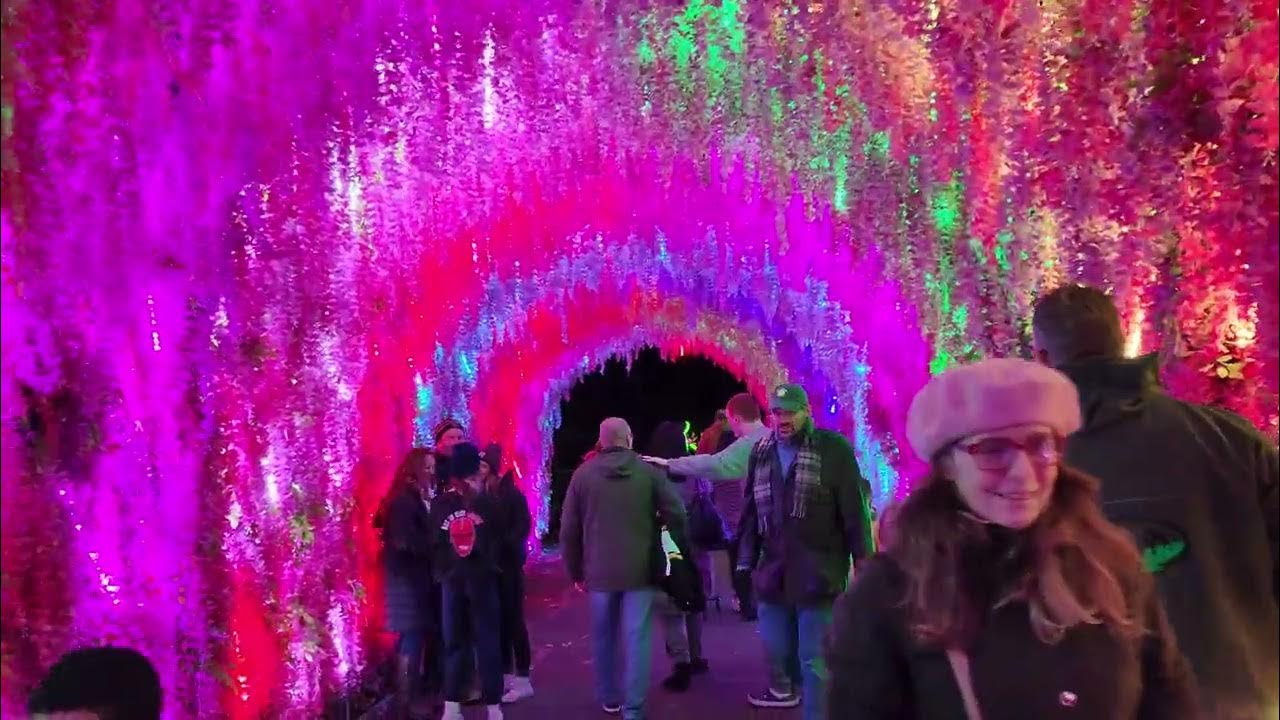 Beardsley Zoo Glow Wild Lantern Festival YouTube