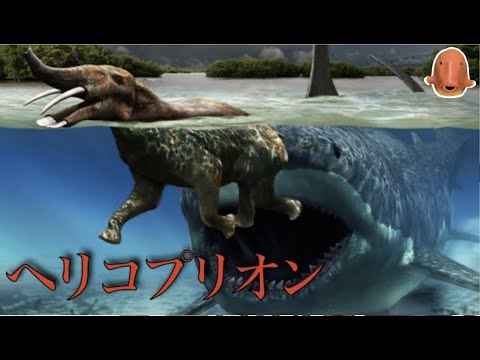 メガロドンより遥かに大きい全長40mの超巨大ザメ パラヘリコプリオン Helicopterion Youtube