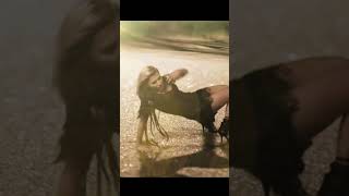 Gosia Andrzejewicz - Wojowniczka