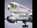 Jitu Koo Tokkitti Ija Koo Ilmo Koo Jitu Fedilu An Abban Kee Ilmo Anqabu 1kitti Qofa Koo Si I 1kkitti Jitu Koo Tokkitti Ija Koo Ilmo Koo Jitu Fedilu An Abban Kee Ilmo Anqabu 1kitti Qofa Koo Si I 1kkitti