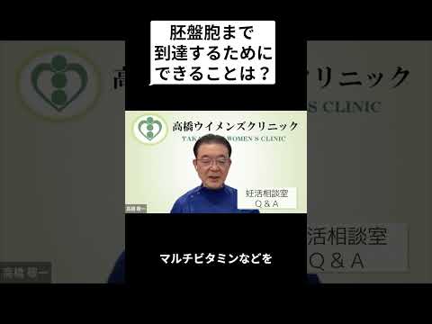 妊活相談室「胚盤胞まで到達するためにできることは？」