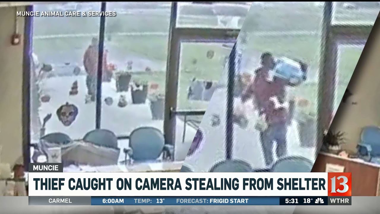 Thief caught on camera stealing from shelter - YouTube