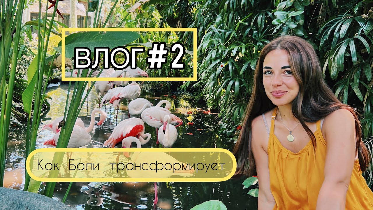 ВЛОГ - Part 2 # Бали трансформирует