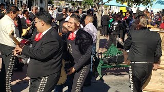 Mariachis de Los Angeles Fiesta Santa Cecilia Los Angeles 2023