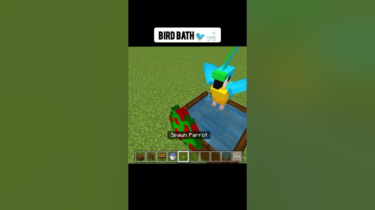 Simple Bird Bath! Minecraft Build Hacks 😄shorts YouTube