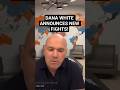 Dana White announces new fights! Arman vs Hooker, Belal vs Garry 👀👀 #ufc