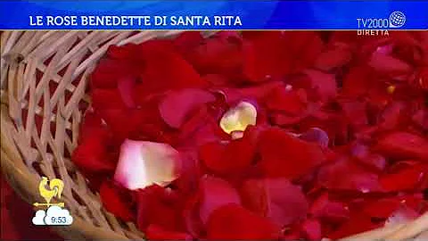 Perché le rose di Santa Rita?
