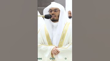 سورة الضحى الشيخ ياسر الدوسري #ياسر_الدوسري #القرآن_الكريم #رمضان #تراويح_رمضان_1444