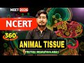 structural organisation in animals class 11| structural organisation in animals class 11 one shot