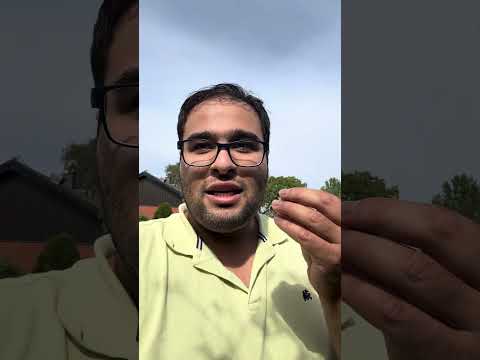 چرا سوئدی ها انقدر عاشق پرچمشون هستن