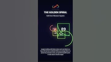 The Golden Spiral Explained 🌀 Fibonacci in Nature - From Sunflowers to Galaxies! | Gravicool Studios