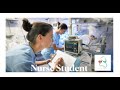 Proceso enfermero (explicado pasó a paso) FACILÍSIMO  / Nurse Student/ PAE