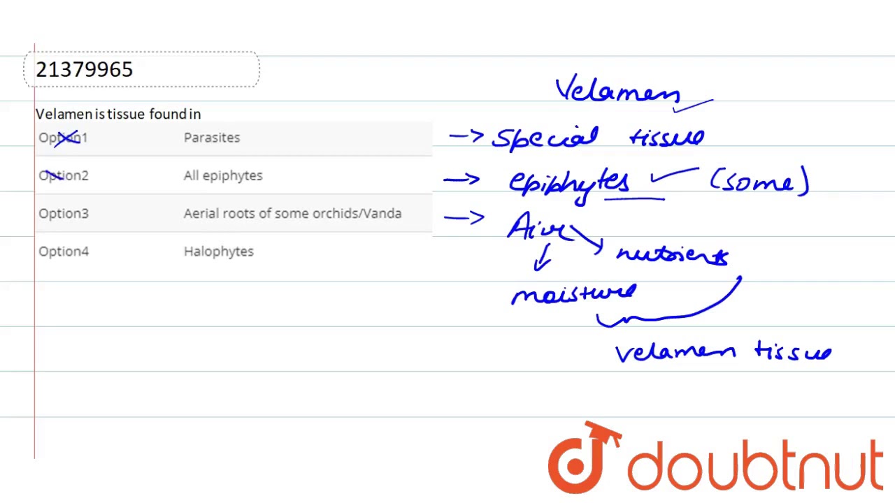 Velamen is tissue found in